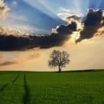 Featured images